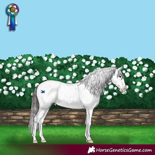 Horse Color:Bay Dun Sabino Rabicano