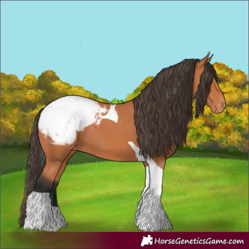 Horse Color:Bay Tobiano Snowcap 