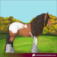 Horse Color:Bay Tobiano Snowcap 