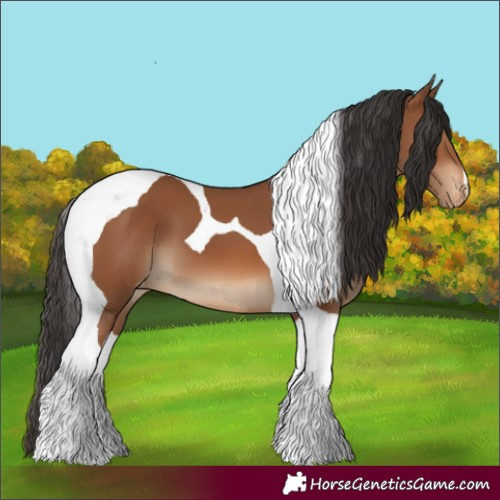 Horse Color:Bay Tobiano Varnish 