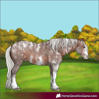 Horse Color:Powder White Silver Brown Sabino 