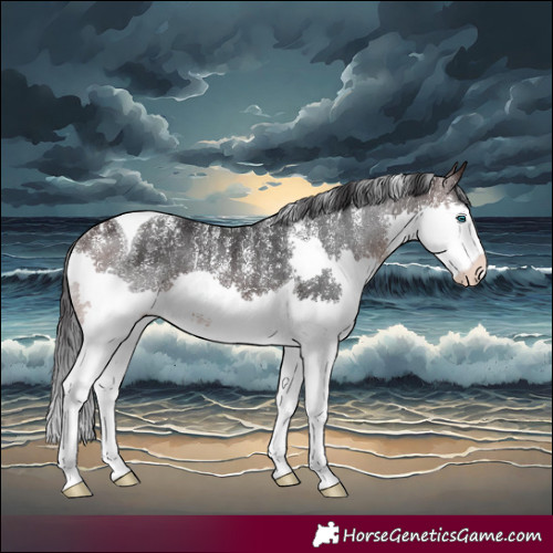 Horse Color:Powder White Brown Splash Tobiano 