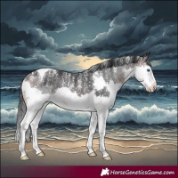 Horse Color:Powder White Brown Splash Tobiano