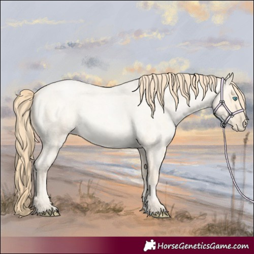 Horse Color:Buckskin Roan Pearl  and Buckskin Roan Pearl 
