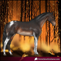 Horse Color:Brown Tobiano Varnish 