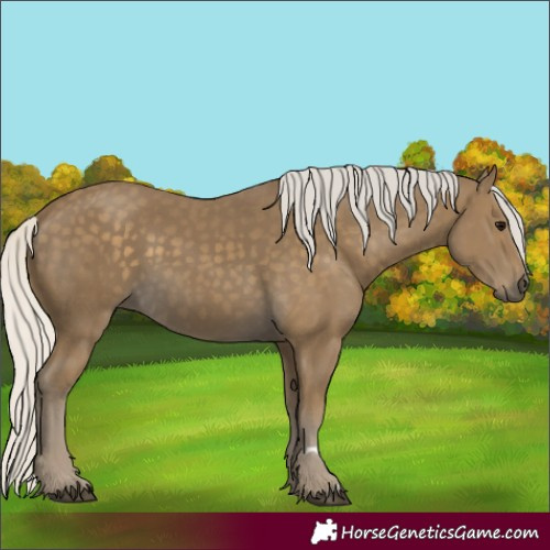 Horse Color:Silver Smoky Black 