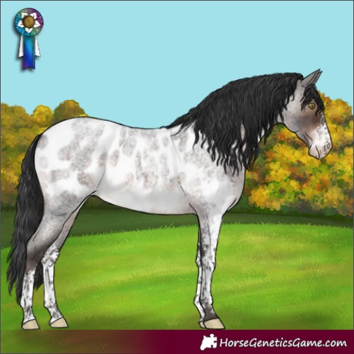 Horse Color:Brown Roan Mushroom Sabino Blanket