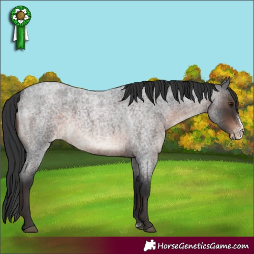 Horse Color:Brown Roan Mushroom Sabino Varnish