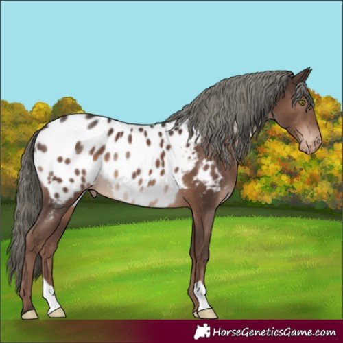 Horse Color:Liver Chestnut Mushroom Blanket