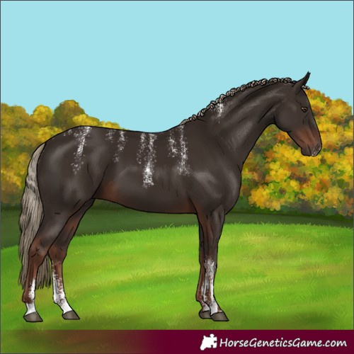 Horse Color:Powder White Liver Chestnut