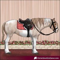 Horse Color:Liver Red Roan Pearl Tobiano Frame