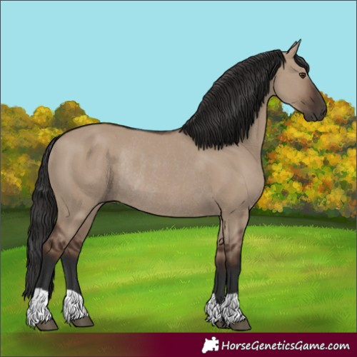 Horse Color:Liver Red Dun Rabicano