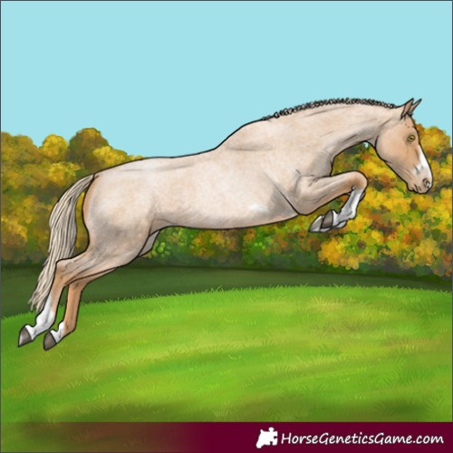 Horse Color:Red Roan Pearl Tobiano Frame