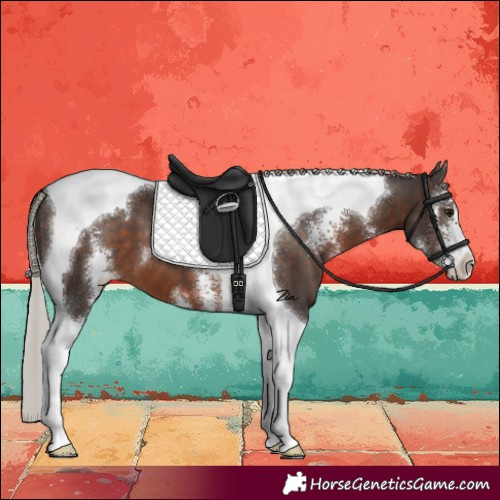 Horse Color:Silver Brown Sabino Tobiano