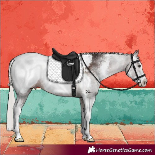 Horse Color:Silver Brown Sabino Snowcap