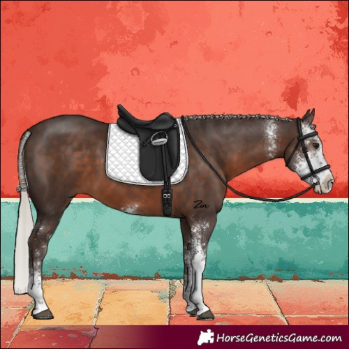 Horse Color:Silver Brown Sabino