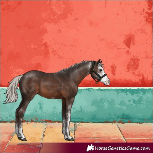 Horse Color:Silver Brown Sabino 