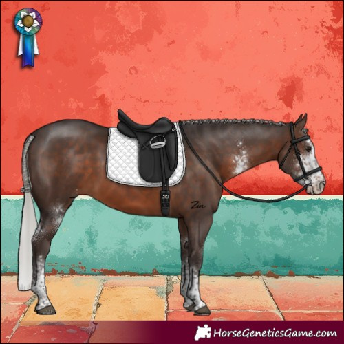 Horse Color:Silver Brown Sabino Rabicano 