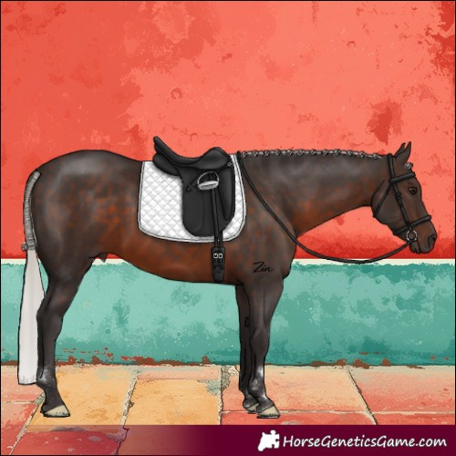 Horse Color:Silver Brown Rabicano 