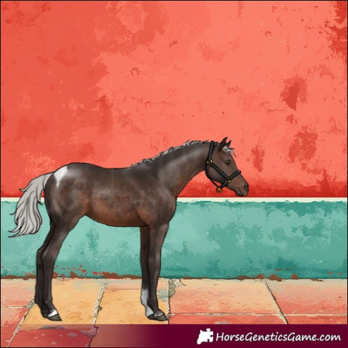 Horse Color:Silver Brown Tobiano