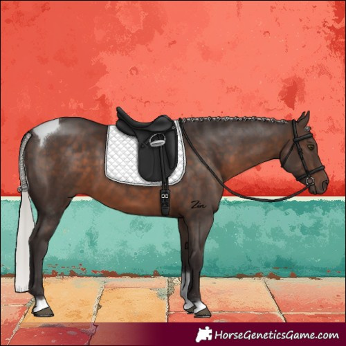 Horse Color:Silver Brown Tobiano