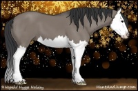 Horse Color:Grullo Splash 