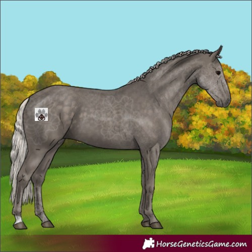 Horse Color:Silver Black 