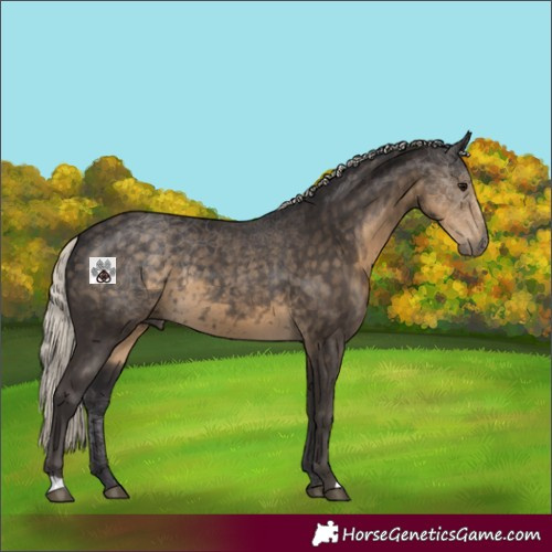 Horse Color:Silver Smoky Black 