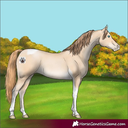 Horse Color:Buckskin Pearl Tobiano 