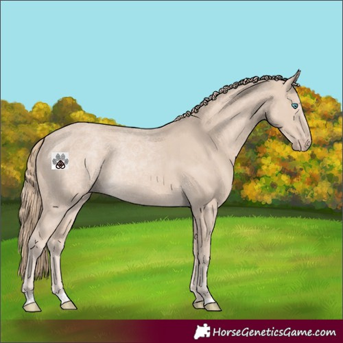 Horse Color:Smoky Creme 