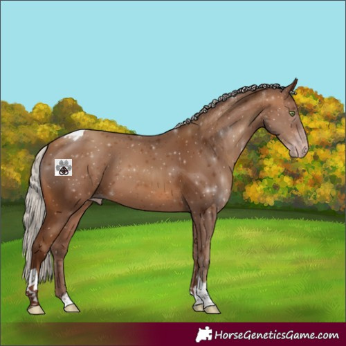 Horse Color:Gray Silver Amber Champagne Tobiano