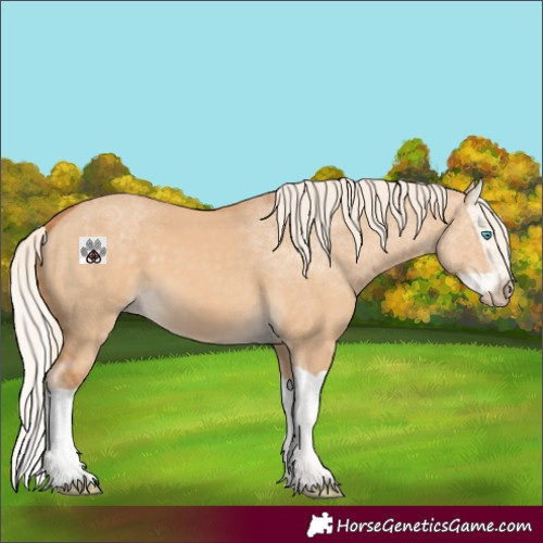 Horse Color:Gray Cremello Dun Splash