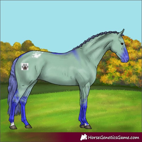 Horse Color:Watercolor Smoky Grullo Varnish 
