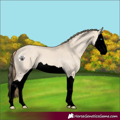Horse Color:Void Smoky Creme Dun Splash