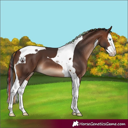 Horse Color:Painted Brown Splash Tobiano 