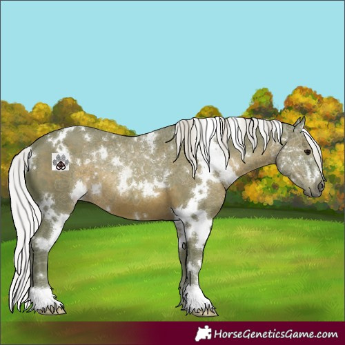 Horse Color:Watercolor White Spotted Silver Black 