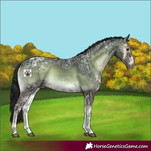 Horse Color:Gray Brown Ice Onyx Sabino 