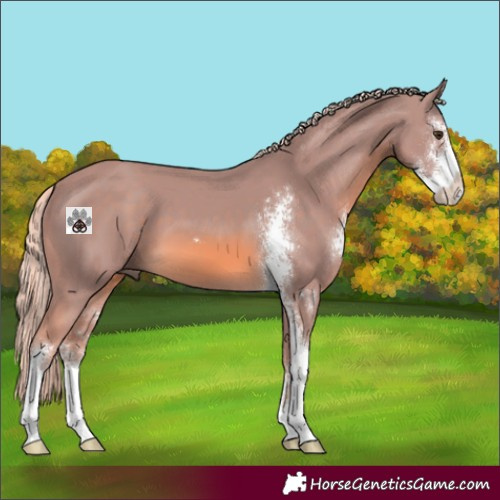 Horse Color:Watercolor Chocolate Palomino Sabino 