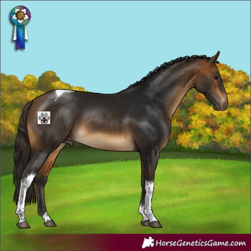 Horse Color:Gray Buckskin Tobiano Varnish