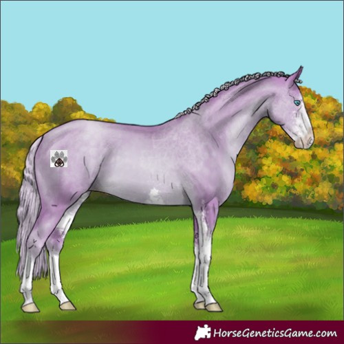 Horse Color:Watercolor Chocolate Palomino Pearl Sabino 