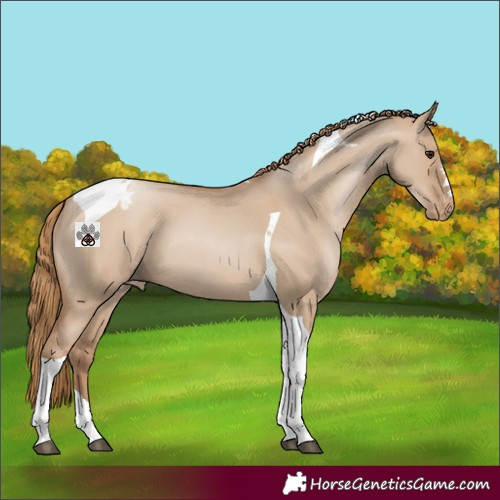 Horse Color:Grullo Pearl Tobiano Varnish