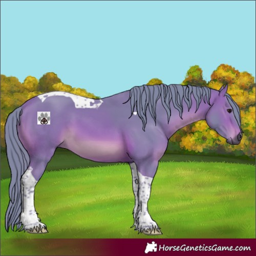 Horse Color:Gray Watercolor Bay Tobiano 