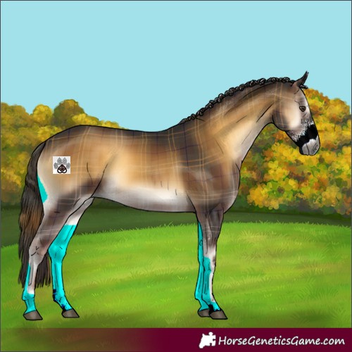 Horse Color:Gray Plaid Liver Red Onyx Sabino