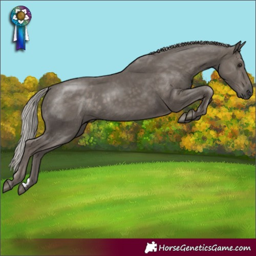 Horse Color:Silver Black 
