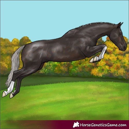 Horse Color:Silver Brown