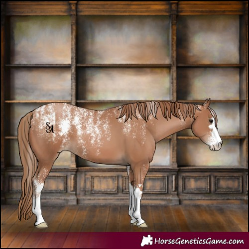 Horse Color:Powder White Black Pearl 