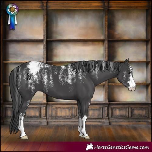 Horse Color:Powder White Black