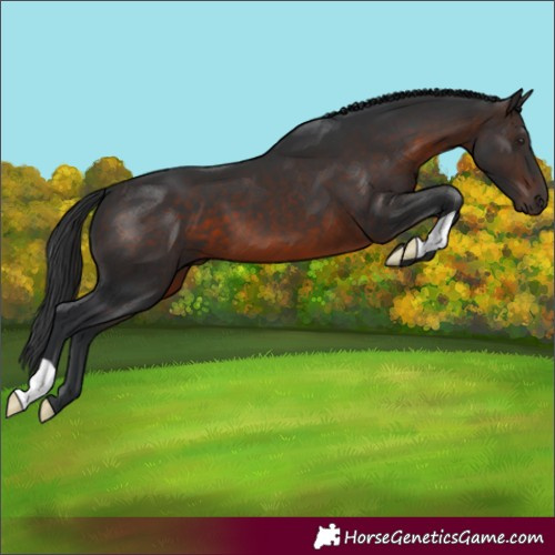 Horse Color:Brown 