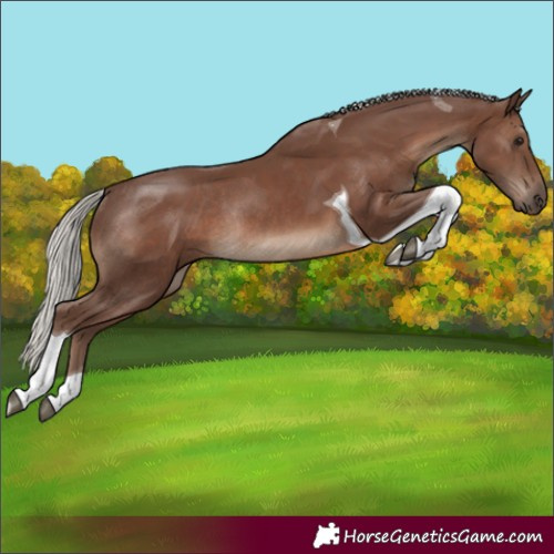 Horse Color:Silver Black Tobiano Rabicano 