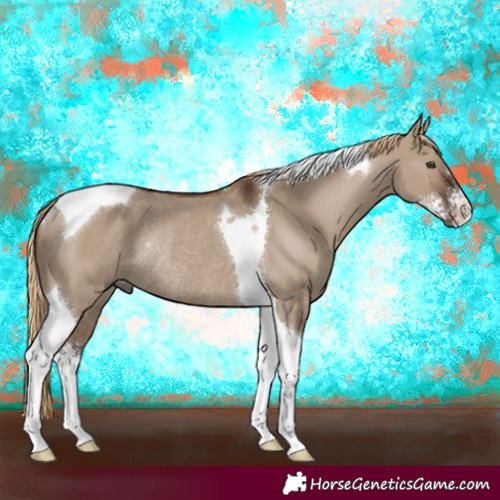 Horse Color:Liver Red Dun Sabino Tobiano Rabicano 